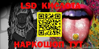 крисы Бийск
