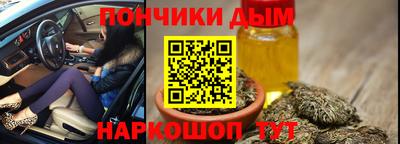 крисы Бийск