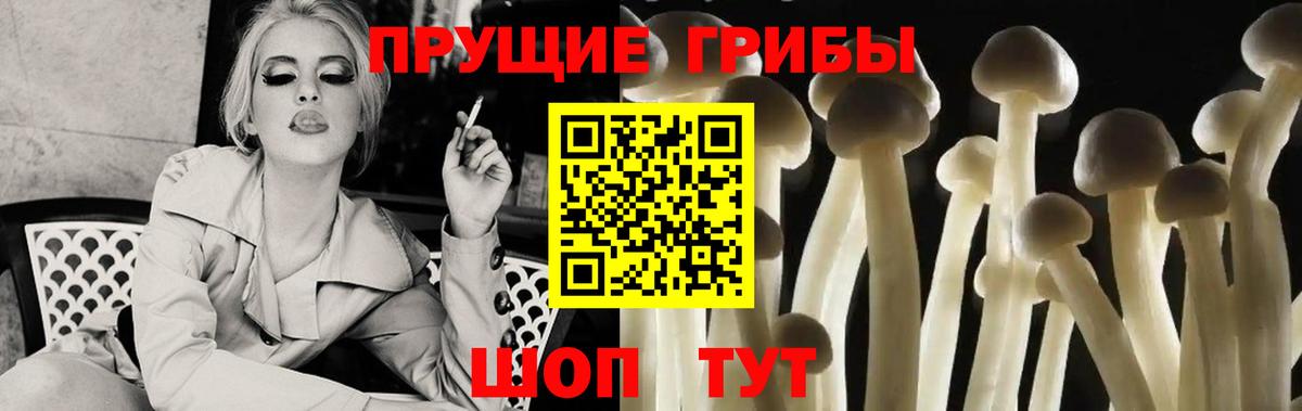 Йошкар-Ола  даркнет сайт  Псилоцибиновые грибы ЛСД  Вход с VPN  Псилоцибиновые грибы Psilocybe 